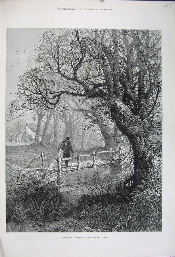 Original Old Antique Print 1880 Fine Art Country Autumn Leaves Trees Man Bridge