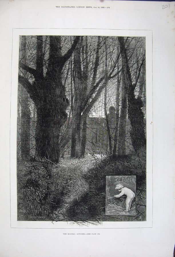 Original Old Antique Print 1880 Country Scene October Trees Grass Montbard 19th