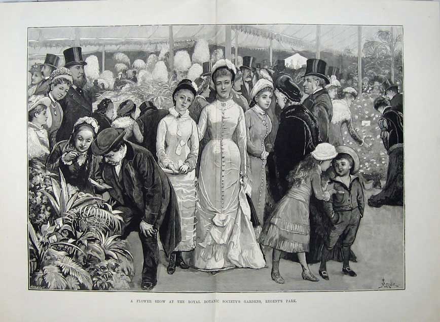 Old Antique Print Fine Art 1880 Flower Show Royal Botanic Regent'S Park 19th