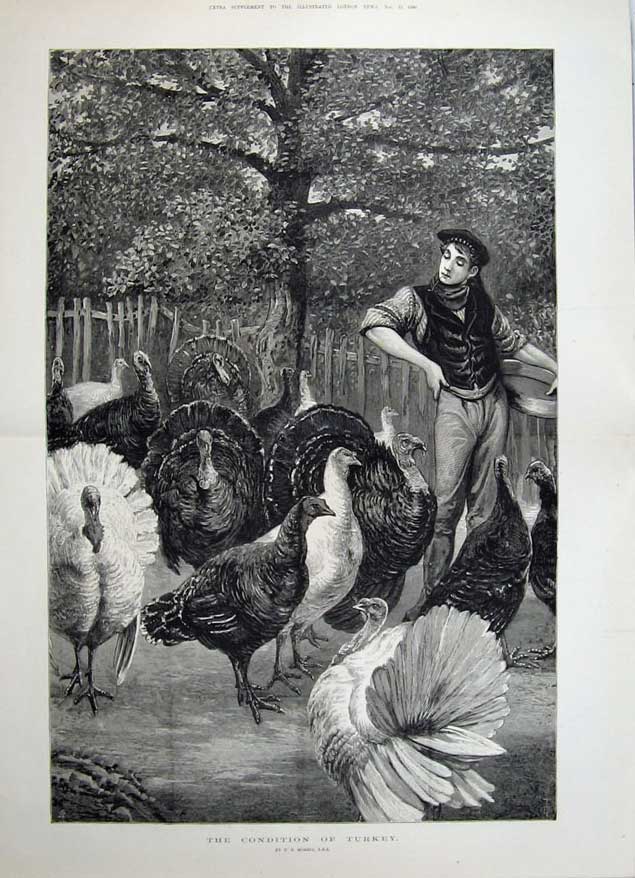 Old Antique Print 1880 Fine Art Man Feeding Turkey Birds Garden Morris 19th