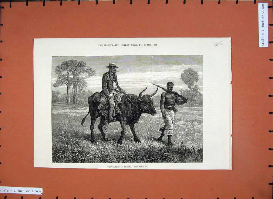Old Antique Print 1880 Fine Art Travelling Angola Men Natives Cow Country 19th