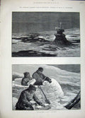 Old Antique Print 1881 American Franklin Expedition Erebus Bay Snow House 19th