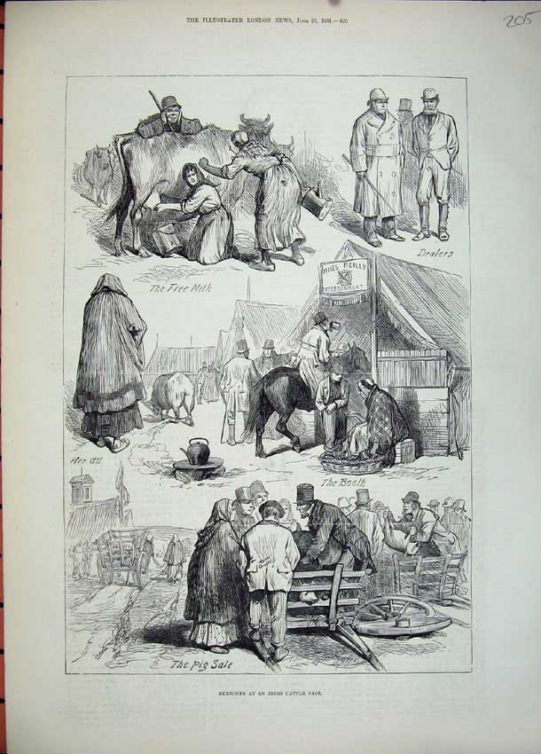 Original Old Antique Print 1881 Irish Cattle Fair Milk Pigs Horse Booth Animals