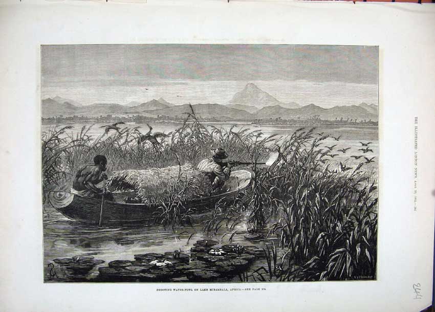 Original Old Antique Print 1881 Shooting Water Fowl Birds Lake Mirambala Africa