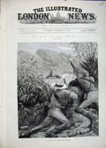 Old Antique Print 1881 Transvaal War Boers Men Shooting Animals Mountains 19th