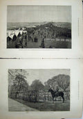 Old Antique Print 1881 Brighton Volunteer Review Steyne Gardens Army Art 19th