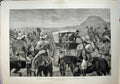 Old Antique Print 1881 Transvaal War President Brand Laing'S Neck Horses 19th