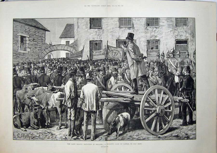 Old Antique Print 1881 Land League Agitation Ireland Sheriff Cattle Sale 19th