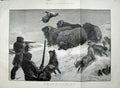 Old Antique Print 1881 Shooting Musk Oxen Arctic Regions Dogs Snow Art 19th