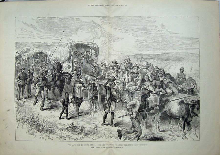 Old Antique Print 1881 War South Africa Wounded Prisoners Ambulance Cart 19th