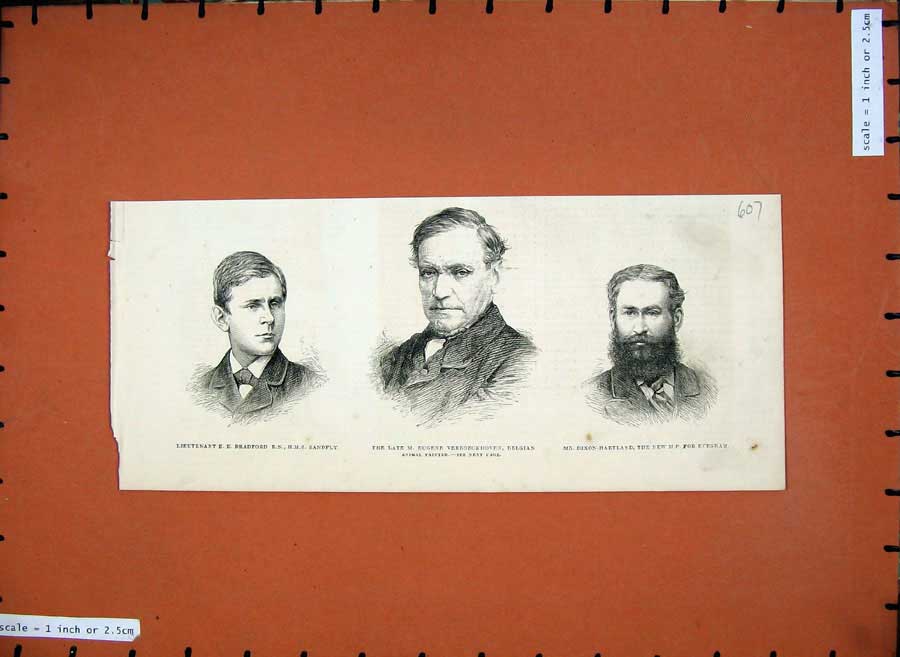 Old Antique Print 1881 War Men Bradford Sandfly Eugene Painter Hartland 19th