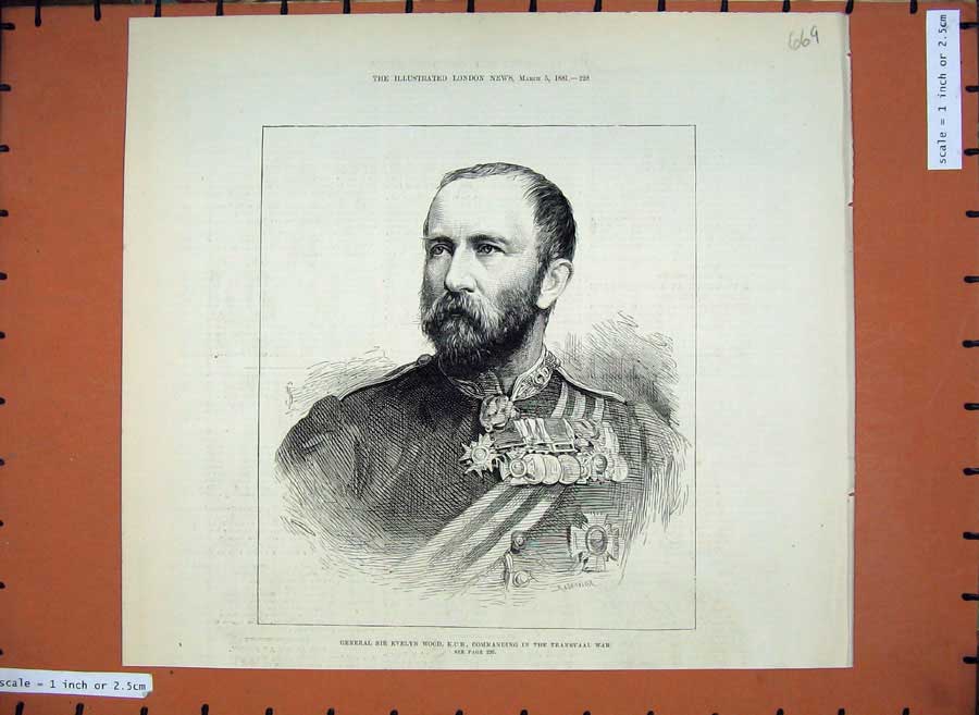 Old Antique Print 1881 General Sir Evelyn Wood Transvaal War Commanding 19th