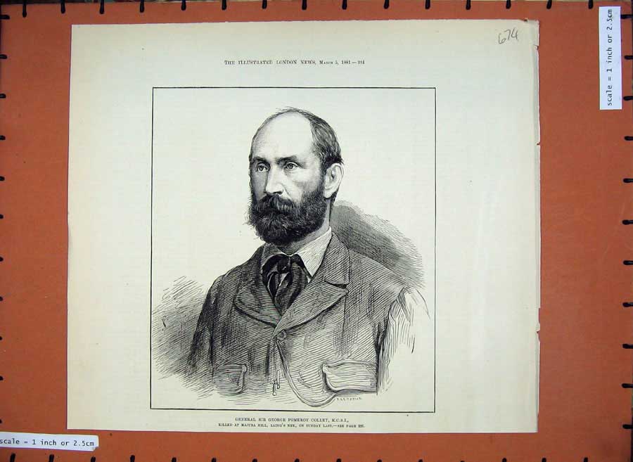 Original Old Antique Print 1881 Portrait General Sir George Pomeroy Colley 19th