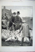 Original Old Antique Print 1881 Fine Art Emslie Goose Club Committee Birds Cows