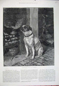 Old Antique Print 1881 Harrison Fine Art Dog Fire Side Cooking Pot House 19th