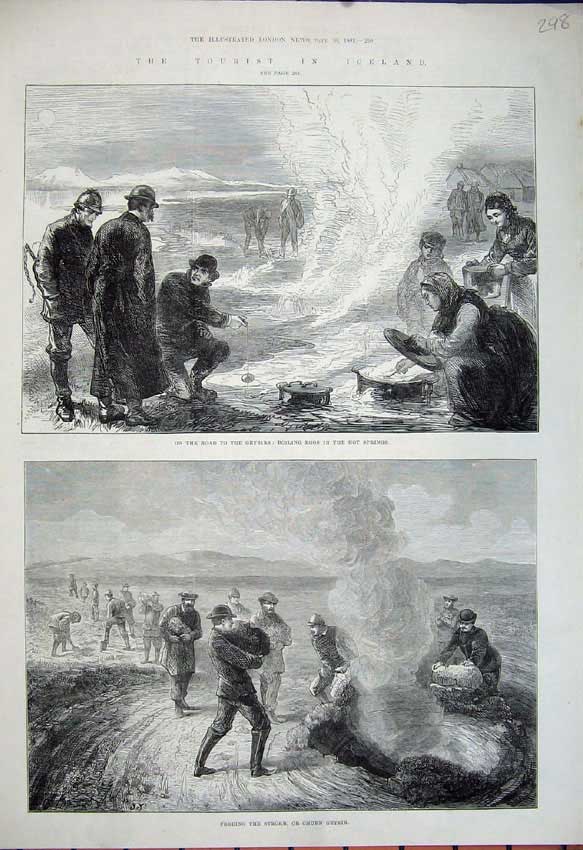 Old Antique Print 1881 Iceland Geysirs Hot Springs Churn Strokr Fine Art 19th