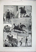 Old Antique Print 1881 Military Tournament Cambridge Asylum Horses Sword 19th