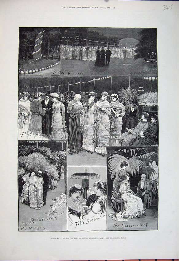Old Antique Print 1881 Botanic Gardens Regents Park Conservatory Fine Art 19th