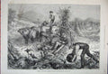 Original Old Antique Print 1881 America Gathering Pumpkins Husking Maize Cattle