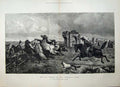 Original Old Antique Print Man Driving Horses Campagna Rome 1881 Dogs Fine Art