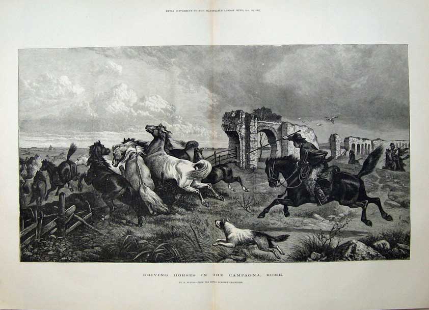 Original Old Antique Print Man Driving Horses Campagna Rome 1881 Dogs Fine Art