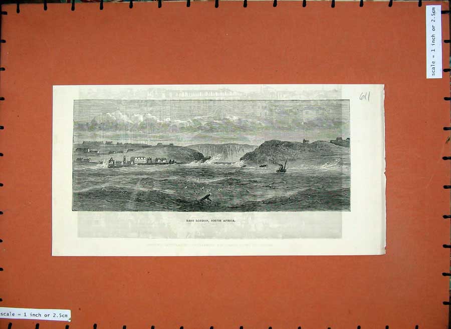 Old Antique Print 1881 View East London South Africa Sea Ship Buildings 19th