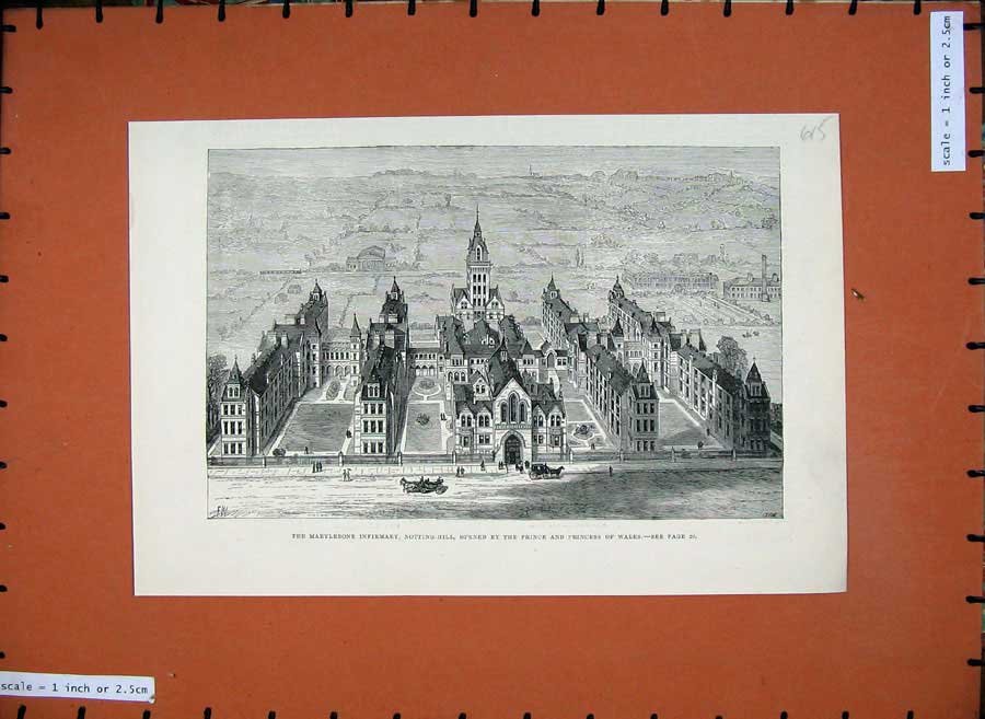 Old Antique Print 1881 Marylebone Infirmary Notting Hill Architecture Art 19th