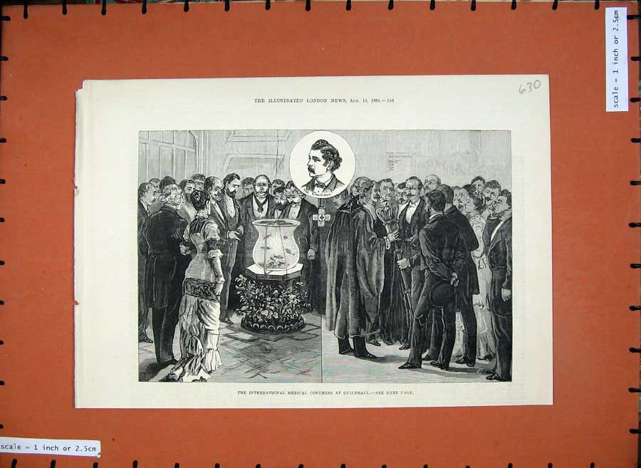 Old Antique Print 1881 International Medical Congress Guildhall Men Art 19th