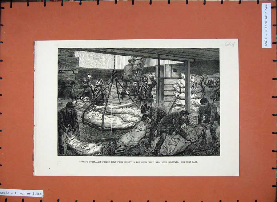 Original Old Antique Print 1881 Australian Meat Sydney West India Dock Millwall