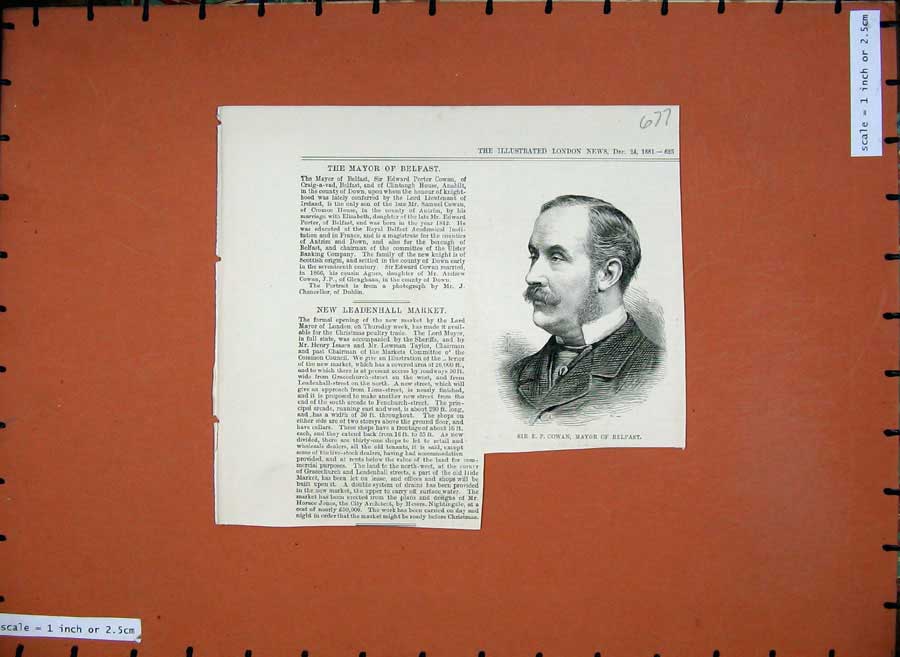 Original Old Antique Print 1881 Portrait Sir Edwin Cowan Mayor Belfast Ireland