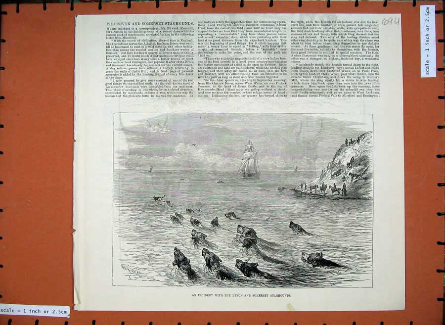 Old Antique Print 1881 Devon Somerset Staghounds Hunting Dogs Ships Art 19th