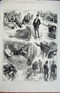 Original Old Antique Print 1882 Parliament Men Speaker House Commons Policemen