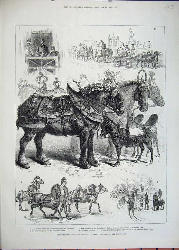 Old Antique Print *0229 1882 May-Day Procession Horses Newcastle-On-Tyne