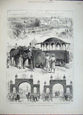 Old Antique Print 1882 Viceroy India Jeypore Elephants Triumphal Arch Men 19th