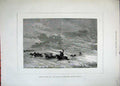 Original Old Antique Print 1882 Asia Horse Herd Shelter Snow Storm Weather Art