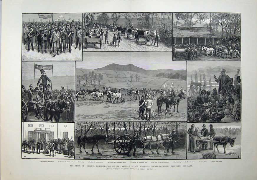 Old Antique Print 1882 Ireland Parnell'S Estate Avondale Wicklow Farming 19th