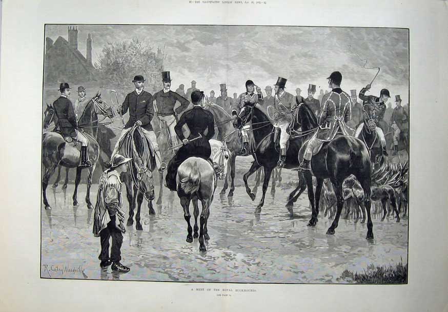 Antique Old Print 1882 Royal Buckhounds Hunting Horses Dogs Woodville Art 19th