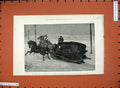 Old Antique Print 1882 Siberia Jeannette Horse Sledge York Herald Express 19th