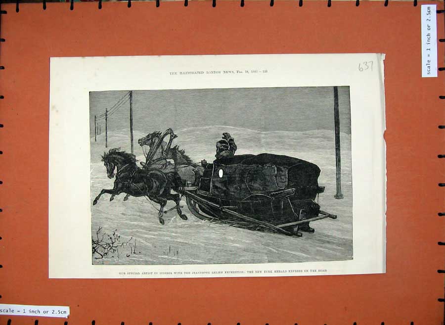 Old Antique Print 1882 Siberia Jeannette Horse Sledge York Herald Express 19th