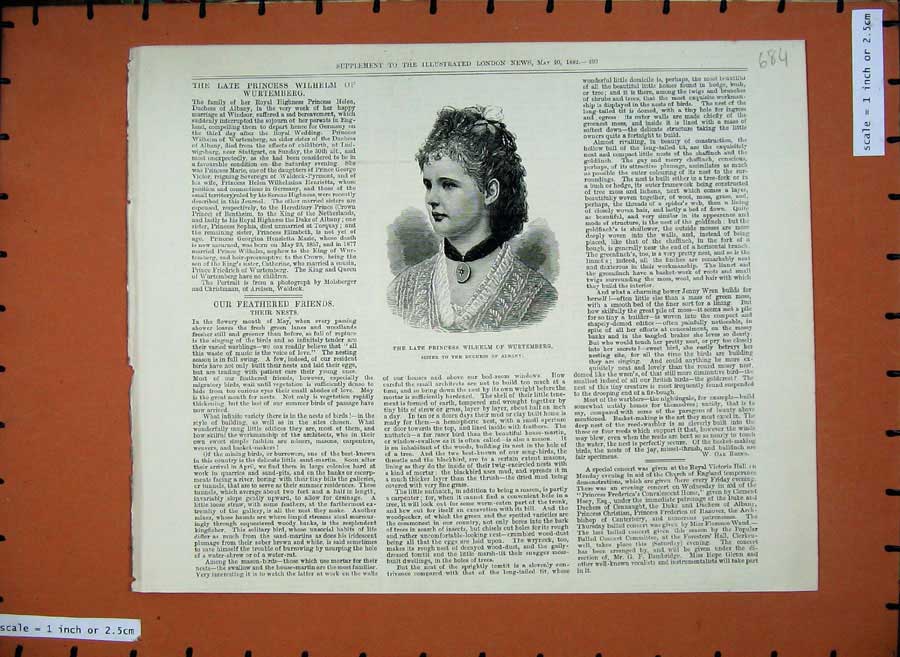 Original Old Antique Print 1882 Portrait Princess Wilhelm Wurtemberg Woman 19th