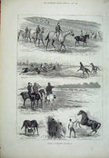 Original Old Antique Print 1882 Horse Training Newmarket Limekilns Sport Racing