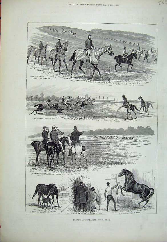 Original Old Antique Print 1882 Horse Training Newmarket Limekilns Sport Racing
