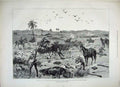 Old Antique Print 1882 War Egypt Dead Wounded Battle Kassassin Horses Art 19th