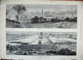 Original Old Antique Print 1882 Royal Agricultural Show Yards Reading Town View