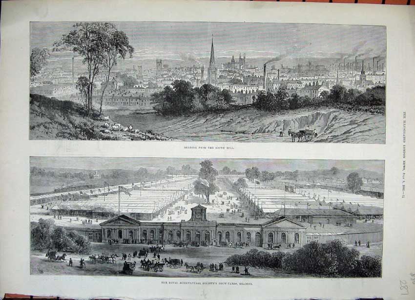 Original Old Antique Print 1882 Royal Agricultural Show Yards Reading Town View