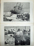 Old Antique Print 1882 Eira Arctic Expedition Franz Joseph Land Walrus 19th