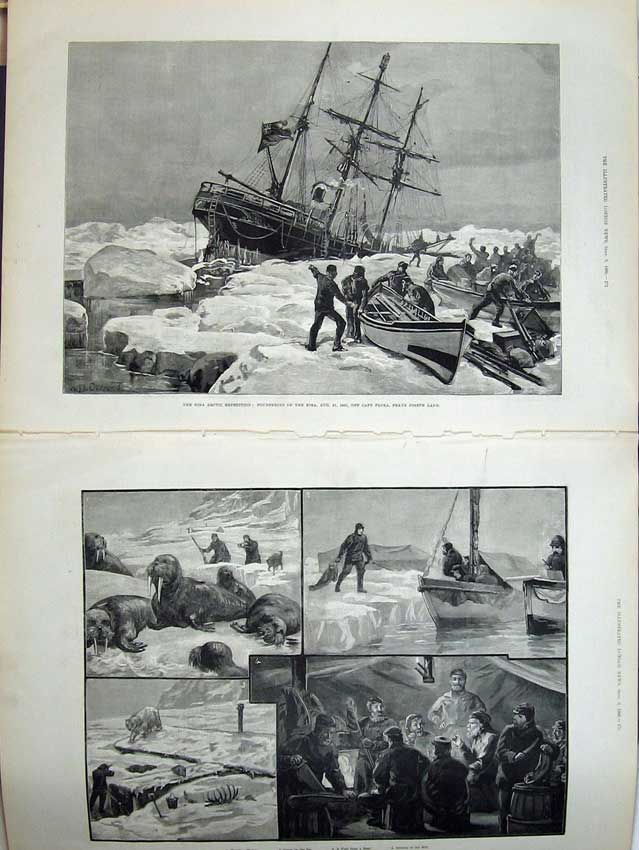Old Antique Print 1882 Eira Arctic Expedition Franz Joseph Land Walrus 19th