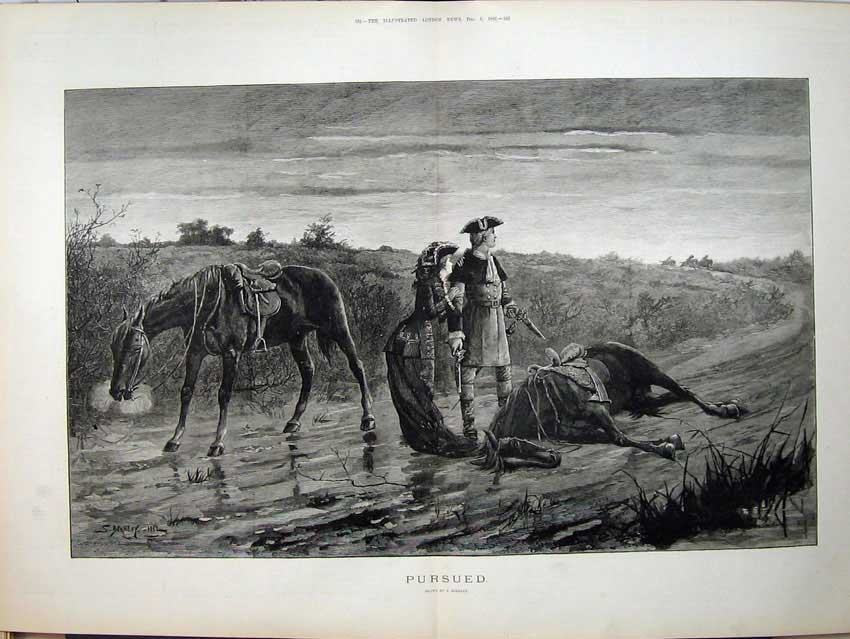 Original Old Antique Print 1882 Berkley Art Sier Woman Shooting Horse Country
