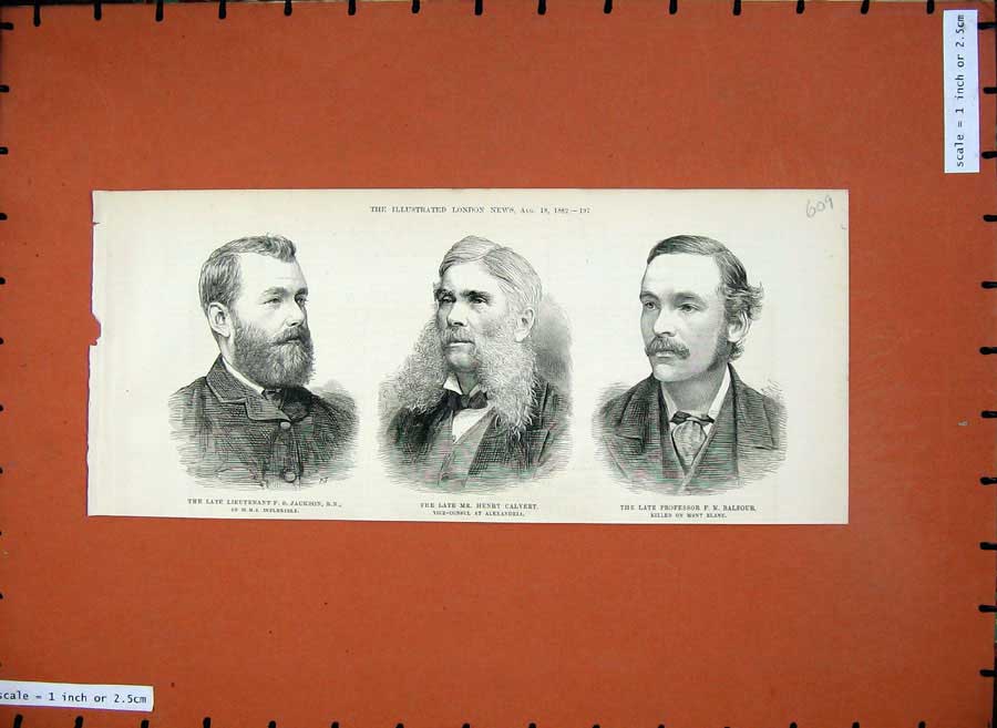 Old Antique Print 1882 Henry Calvert Professor Balfour Jackson Portrait 19th