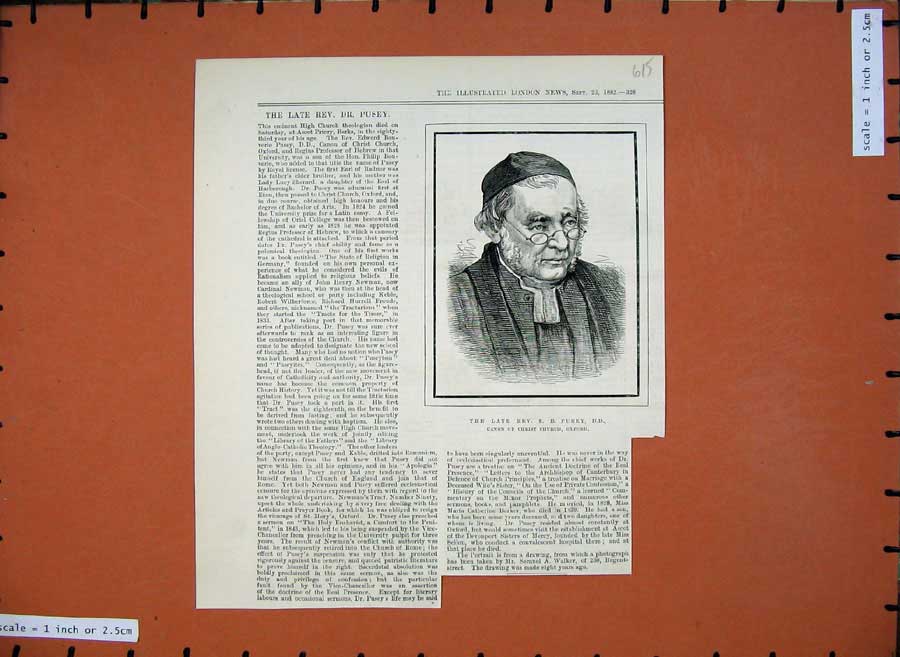 Old Antique Print 1882 Portrait Rev. Pusey Canon Christ Church Oxford Man 19th